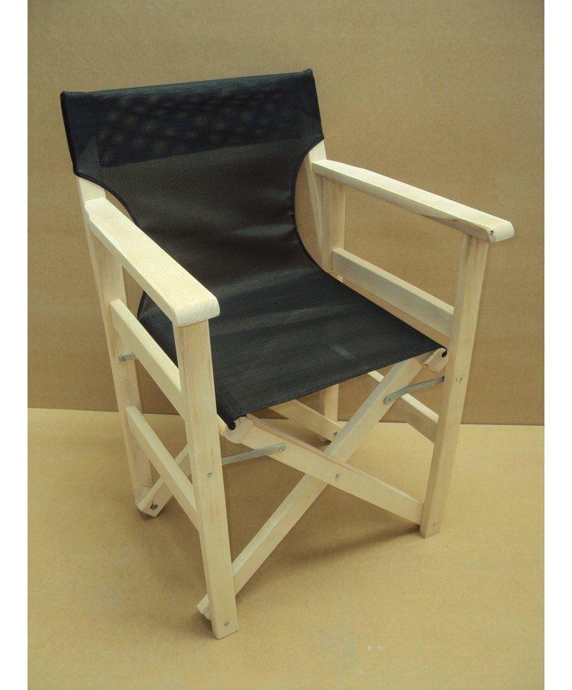 Professional Director Chair