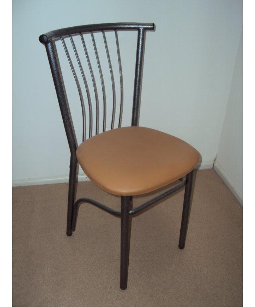 Professional Metal chair Fan